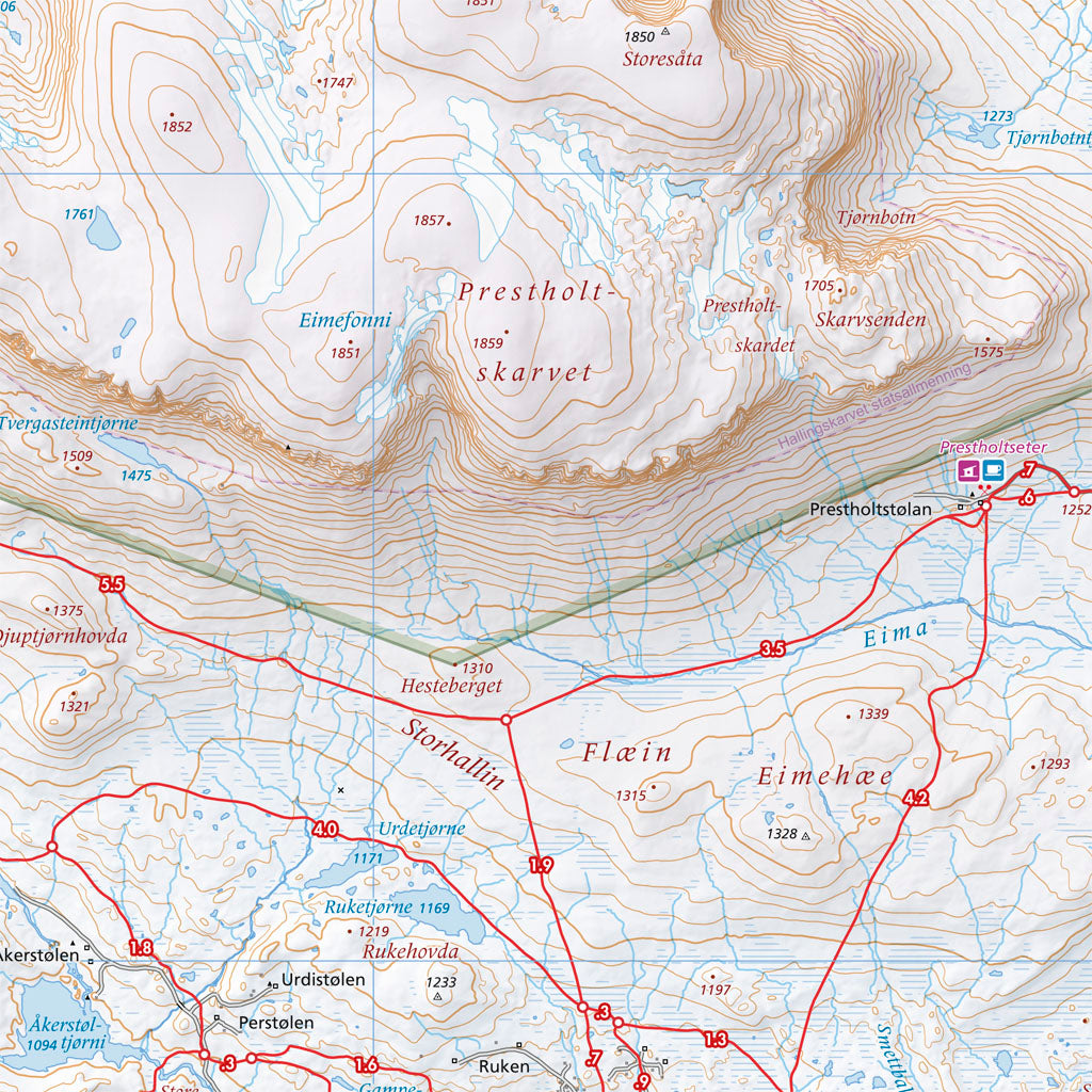 Skiløyper rundt Geilo (70 x 50cm)