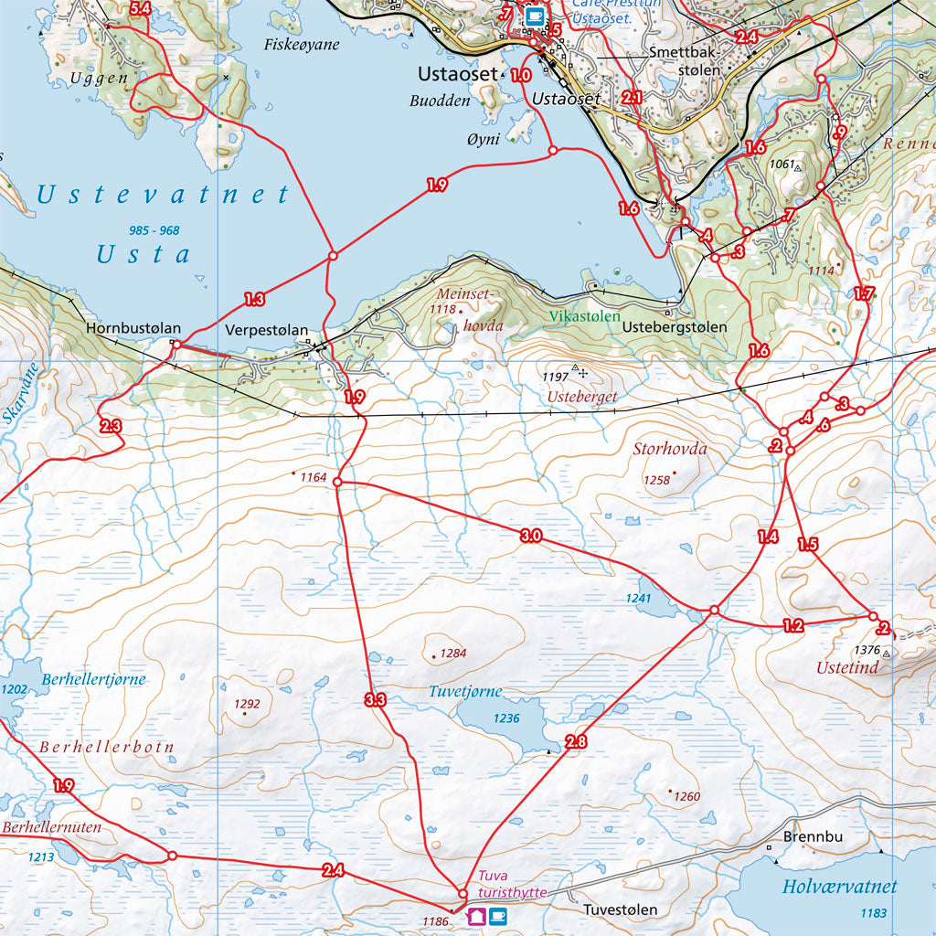 Skiløyper rundt Geilo (70 x 50cm)