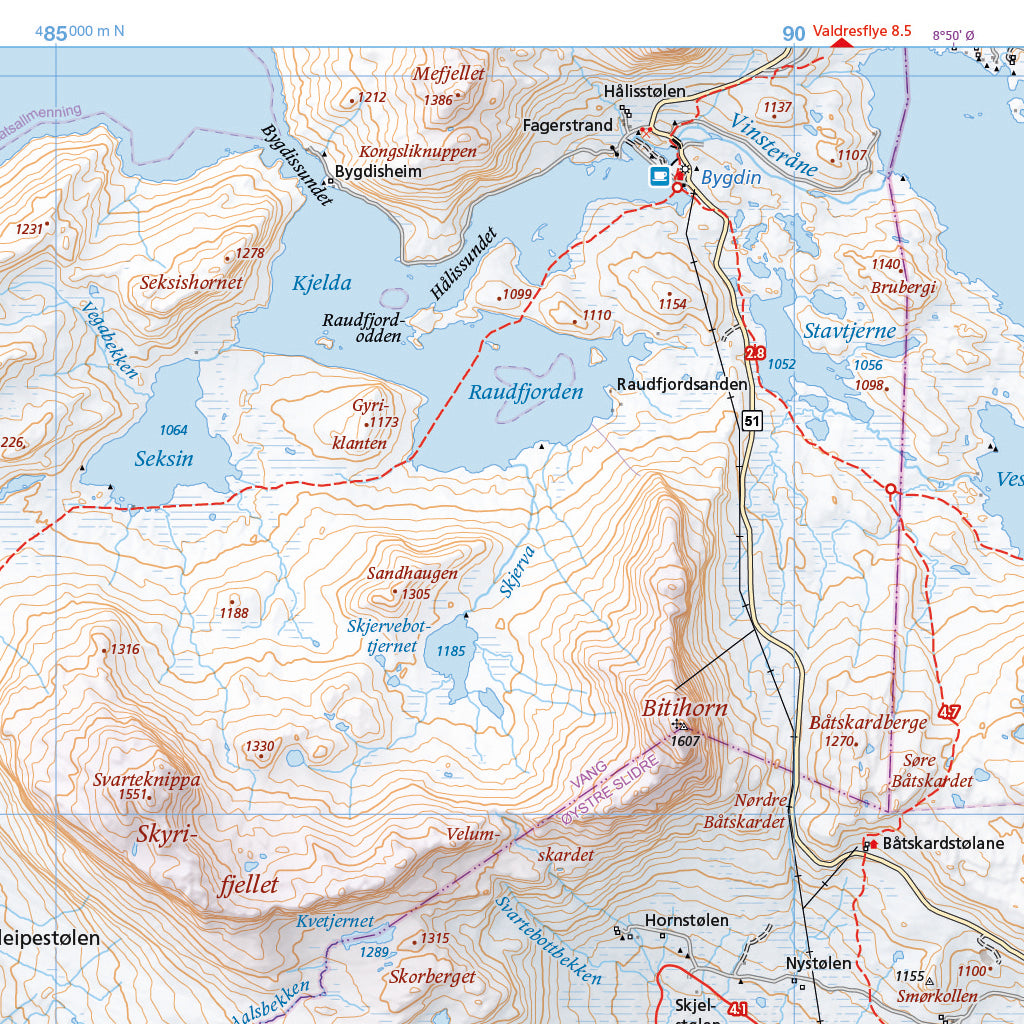 Skiløyper rundt Beitostølen (70 x 50cm)