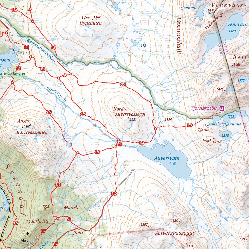 Skiløyper rundt Hovden (70 x 50cm)