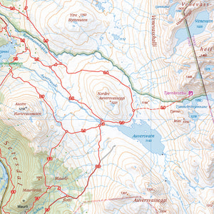 Skiløyper rundt Hovden (70 x 50cm)