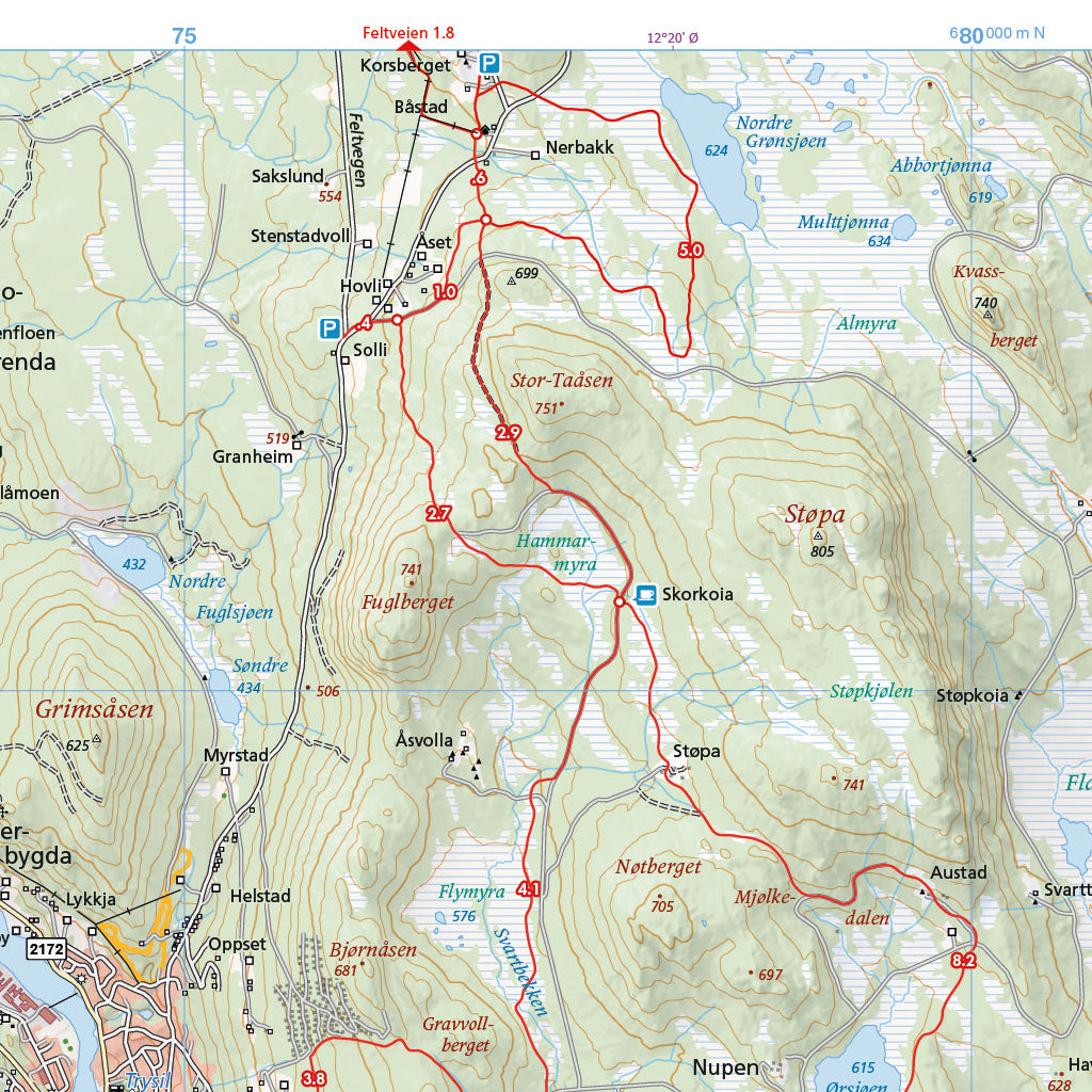 Skiløyper rundt Trysilfjellet (70 x 50cm)